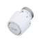 RA/V Tete thermostatique pour anciens corps RA/V
