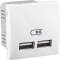 Unica - double chargeur USB 2.1 A - blanc|Schneider Electric-SCHMGU3.418.18