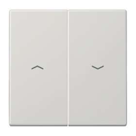 Enjoliveur double touche IN+BP VR-store / LS 990 Gris clair|Jung france-IUNLS995PLG