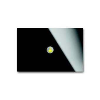 Commande Simple Busch-Prion Verre Noir|ABB-ABB586745