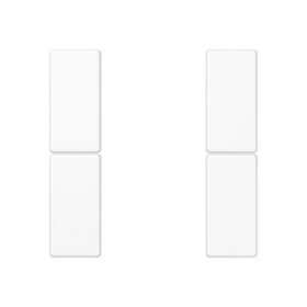 Kit touche complet 2 voies platine F50 / A 500 Blanc|Jung france-IUNA502TSAWW