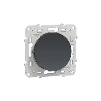 Odace, permutateur Anthracite, 10 A, à vis|Schneider Electric-SCHS540205