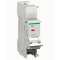 Multi9 MN - déclencheur - 220-240VAC|Schneider Electric-SCHM9A26960