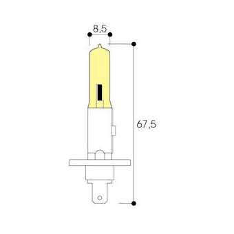 Lampe halogène automobile H1 24V 70W P14,5s|Aurora-ABIAF361
