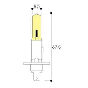 Lampe halogène automobile H1 24V 70W P14,5s|Aurora-ABIAF361