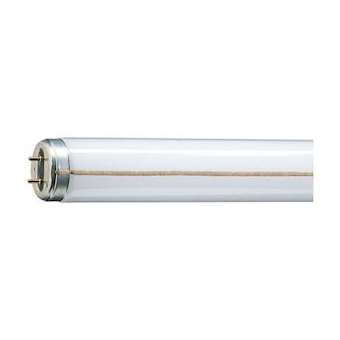 G13 38x590 20W 4000K RS|Orbitec-ORB007790