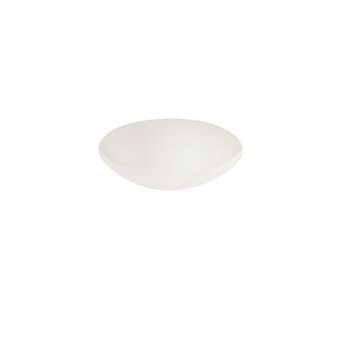 Vasque de rechange WRKSK 260 HPC-OPAL, en PC opale, pour luminaires RKSK 260|Ridi-RII0201822