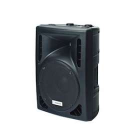 Enceinte amplifiée 250W RMS avec port USB - 115V/230V|Rondson-ONDSPC-12AU