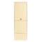 Borne CIBE monophasée 2x60 A + D4D