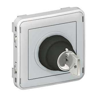 Interrupteur à clé Ronis N°455 2 positions Plexo composable IP55 3A 250V - gris|Legrand-LEG069534