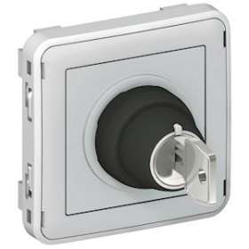 Interrupteur à clé Ronis N°455 2 positions Plexo composable IP55 3A 250V - gris|Legrand-LEG069534