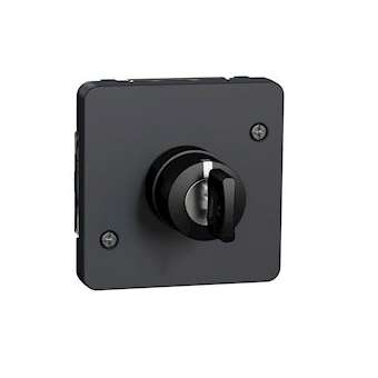 Mureva Styl - Interrupteur à clé 3 positions - composable - IP55 - IK08 - gris|Schneider Electric-SCHMUR35061