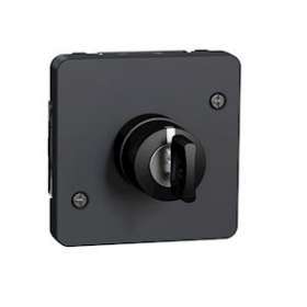 Mureva Styl - Interrupteur à clé 3 positions - composable - IP55 - IK08 - gris|Schneider Electric-SCHMUR35061