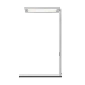 luminaire sur table DPT 6000/840/R/G2|Waldmann-WAE121828000-00804456