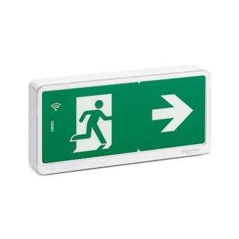 Exiway Light Bloc de secours Evacuation IP65 SATI LINK|Schneider Electric-SCHOVA59131