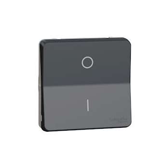 Mureva Styl - Interrupt bipolaire - composable - IP55 IK08 - connex auto - gris|Schneider Electric-SCHMUR35034