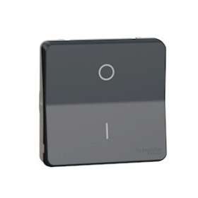 Mureva Styl - Interrupt bipolaire - composable - IP55 IK08 - connex auto - gris|Schneider Electric-SCHMUR35034