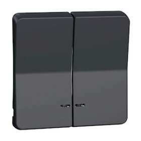 Mureva Styl - Enjoliveur 2 demi touche - IP55 - IK08 - gris|Schneider Electric-SCHMUR34205