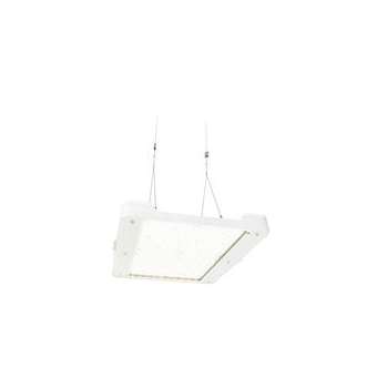 GentleSpace gen3 Grand modèle BY481P LED250S/840 PSED WB GC SI|Philips Signify-PHI011021