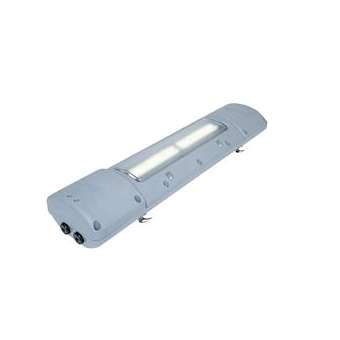 GRP ATEX Z2, 21 & 22 25W 2FT 4000K PC 100 - 277 Vac|Dialight-DIHP2BBMN23A54WGN