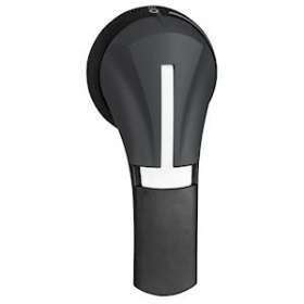 TeSys GS - poignée externale rotative droite - 100A à 400A - IP65 - noire|Schneider Electric-SCHGS2AH230