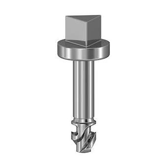 Spacial SBM - 1 vis triangle 6,5mm|Schneider Electric-SCHNSYAEDSTSB