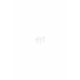 Insert sécurité Q16 pour MO 4|Came france-KAM001YM0101