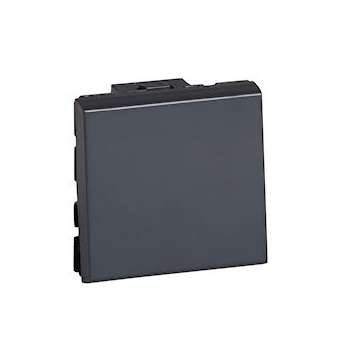Poussoir 6A 250V~ Mosaic 2 modules - anthracite|Legrand-LEG079140