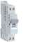 Disjoncteur 1P+N 6-10kA courbe D - 4A 1 module|Hager-HAGNGT704