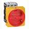 Interrupteur-sectionneur rotatif complet encastré D22 cadenassable - 3P - 25A|Legrand-LEG022132