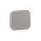 Poussoir NO-NF lumineux Plexo composable gris