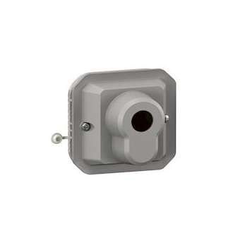 Interrupteur à clé Ronis 3 positions Plexo composable gris|Legrand-LEG069535L