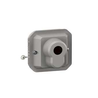 Interrupteur à clé accès sécurisé 2 positions Plexo composable gris|Legrand-LEG069706L