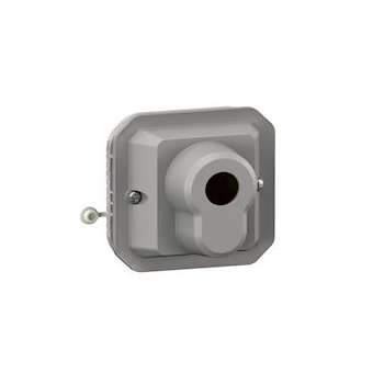 Poussoir à clé accès sécurisé 3 positions Plexo composable gris|Legrand-LEG069705L