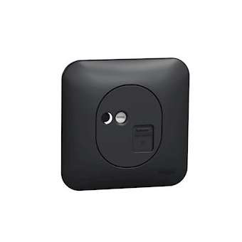 Ovalis - Prise RJ45 - cat.5e UTP - grade 1 - téléphone Avec plaque -Anthracite|Schneider Electric-SCHS460471