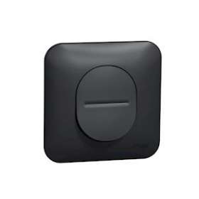 Ovalis - interrupteur va et vient - 10AX - avec griffes Avec plaque -Anthracite|Schneider Electric-SCHS465204