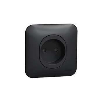 Ovalis - prise de courant - 2P - 16A-avec griffes Avec plaque -Anthracite|Schneider Electric-SCHS465033