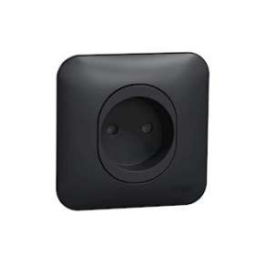 Ovalis - prise de courant - 2P - 16A-avec griffes Avec plaque -Anthracite|Schneider Electric-SCHS465033