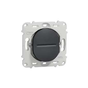 Ovalis - interrupteur - 10A - sans plaque de finition -Anthracite|Schneider Electric-SCHS461202