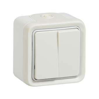 Double interrupteur ou va-et-vient Plexo apparent - Blanc|Legrand-LEG069916