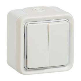 Double interrupteur ou va-et-vient Plexo apparent - Blanc|Legrand-LEG069916