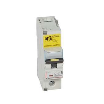 Disjoncteur DX³ 10000 - vis/vis - 1P - 230/400V~ - 100A - 16kA - courbe C - 1,5M|Legrand-LEG409141