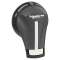 TeSys GS - Poig ext front 30-60a 4,4x test noire