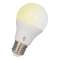 Led Bluetooth A60 E27 9W 800Lm 2700-6500K Blanc Dynamique|Bailey-BIY80100039079
