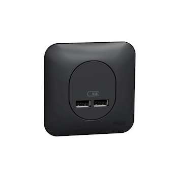 Ovalis - Double chargeur usb 2.1 A - Avec plaque de finition -Anthracite|Schneider Electric-SCHS460407