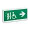 Exiway Light link - bloc de secours SATI - DBR - IP42 - connecté