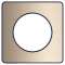 Odace Touch, plaque Bronze brossé avec liseré Anthracite 1 poste