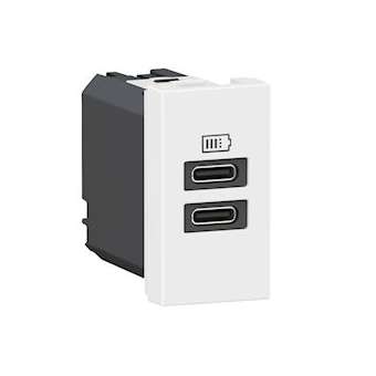 Chargeur 2 USB Type-C Mosaic - 1 module blanc pour poste de travail|Legrand-LEG077680L