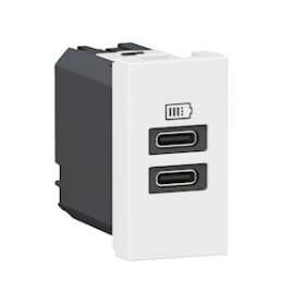 Chargeur 2 USB Type-C Mosaic - 1 module blanc pour poste de travail|Legrand-LEG077680L