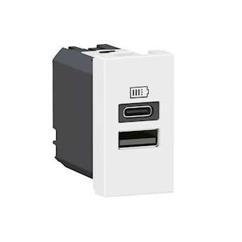 Chargeur USB Type-A+Type-C Mosaic - 1 module blanc pour poste de travail|Legrand-LEG077670L